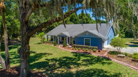33536 E Lake Joanna Dr, Eustis, FL 32736 photo 1