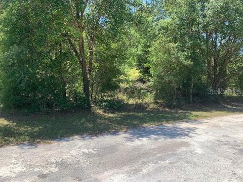 33170 Round Stone St, Webster, FL 33597 photo 1