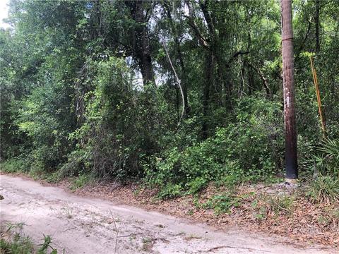 12446 SW 41st St, Webster, FL 33597 photo 1