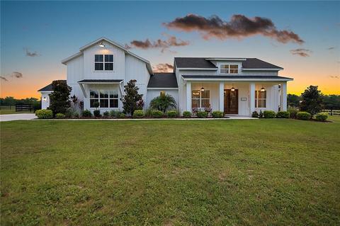 35514 Seneca Reserve Dr, Eustis, FL 32736 photo 1