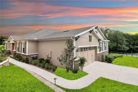 30019 Willow Trce, Mount Dora, FL 32757 photo 1