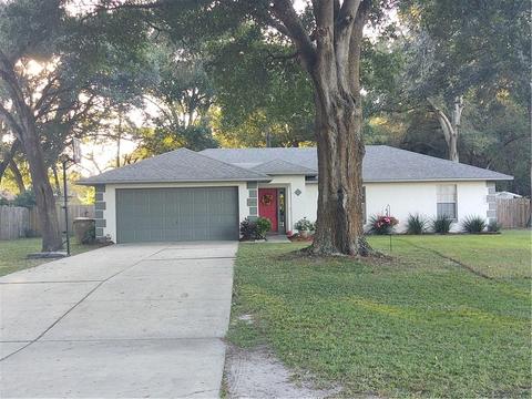 1939 Cherry Ln, Mount Dora, FL 32757 photo 1