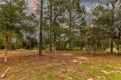 32726 Calhoun Road, Eustis, FL 32726 photo 1