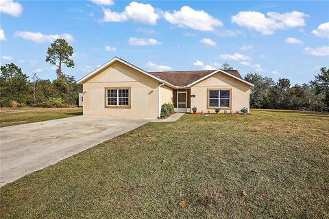 40646 E 8th Ave, Umatilla, FL 32784 photo 1