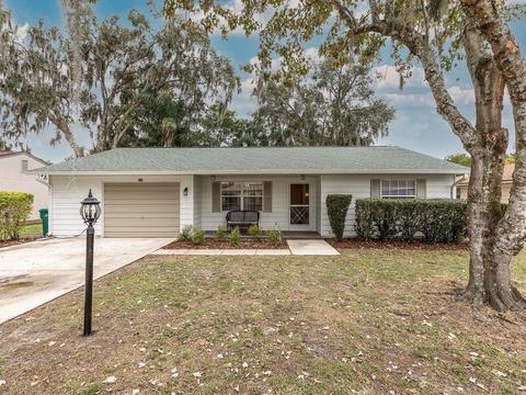 220 Frosti Way, Eustis, FL 32726 photo 1