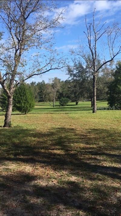 22808 Yonge Rd, Eustis, FL 32736 photo 1