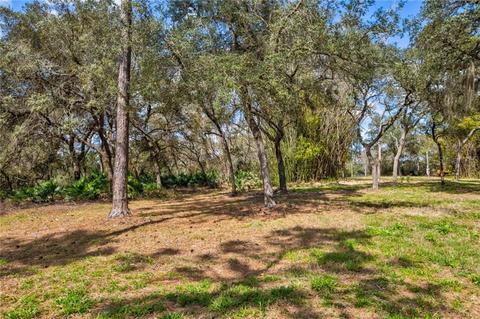 39925 Forest Dr, Eustis, FL 32736 photo 1