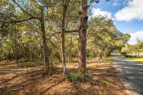 Robie Avenue, Mount Dora, FL 32757