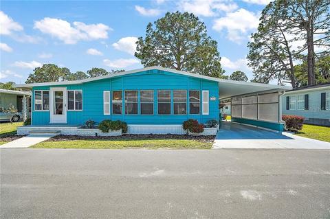 262 Pinewood Dr, Eustis, FL 32726 photo 1