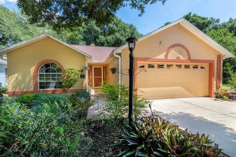 47 Dogwood Ln, Eustis, FL 32726 photo 1