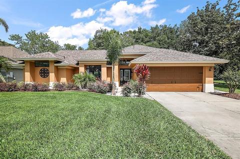 19445 Spring Oak Dr, Eustis, FL 32736 photo 1