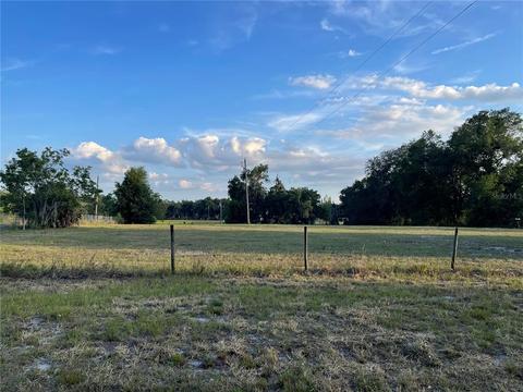 Tbd Vacant Land W C 476, Bushnell, FL 33513