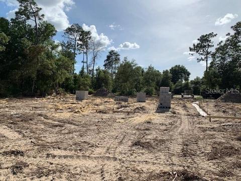 40579 E First Ave, Umatilla, FL 32784 photo 1