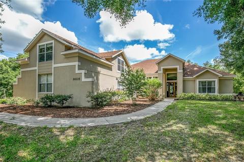 24335 Greentree Ln, Eustis, FL 32736 photo 1