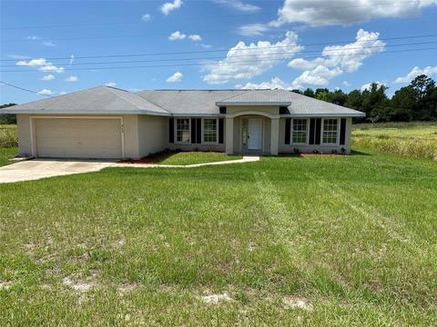 313 Locust Pass, Ocala, FL 34472 photo 1