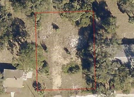 1125 E Clifford Ave, Eustis, FL 32726 photo 1