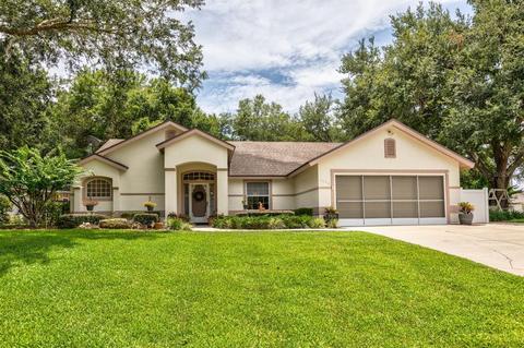 2650 Waterview Dr, Eustis, FL 32726 photo 1