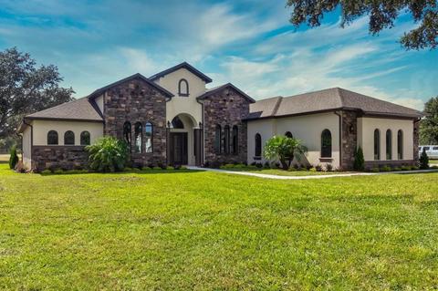 3059 Murano Ct, Mount Dora, FL 32757 photo 1