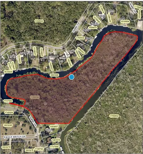 Tammi Drive, Tavares, FL 32778