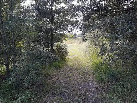 2547 State Rd 50, Webster, FL 33597