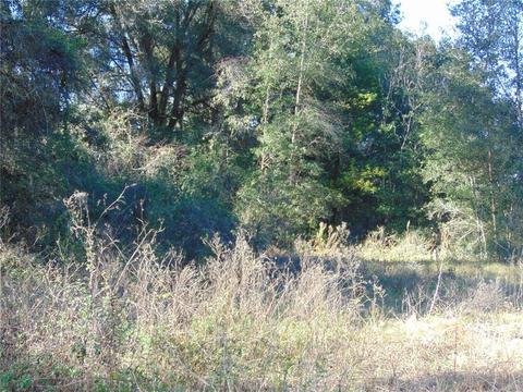 1828 E C 478, Webster, FL 33597 photo 1