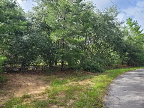 0000 Malauka Pass Crse, Ocklawaha, FL 32179