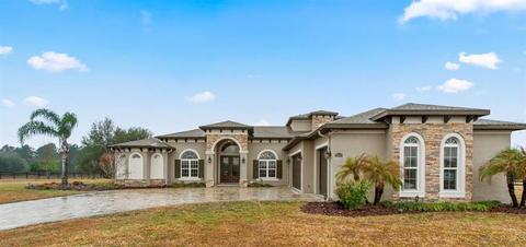 35541 Seneca Reserve Dr, Eustis, FL 32736 photo 1