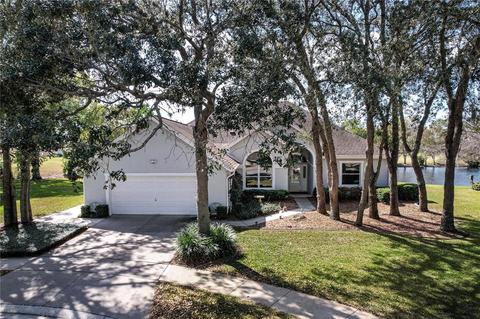 7008 Shadowood Cir, Mount Dora, FL 32757 photo 1