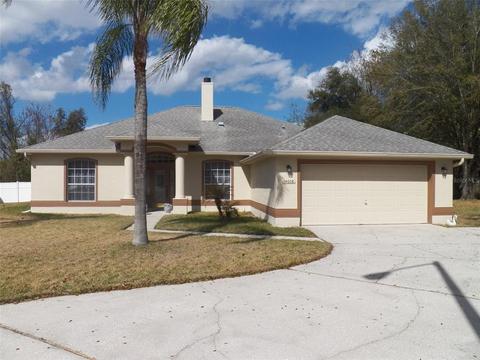 14608 Eagle Eye Ct, Clermont, FL 34711 photo 1