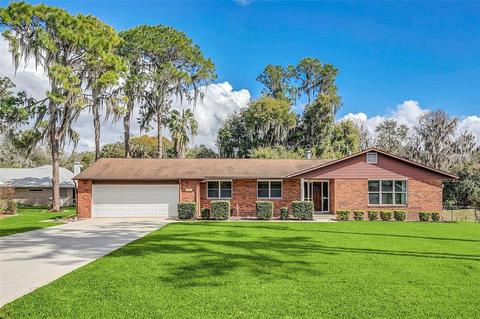 111 Cardinal Ln, Eustis, FL 32726 photo 1
