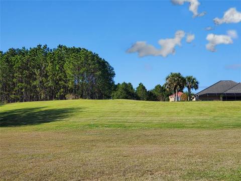 503 W Micky Mantle Path, Hernando, FL 34442 photo 1