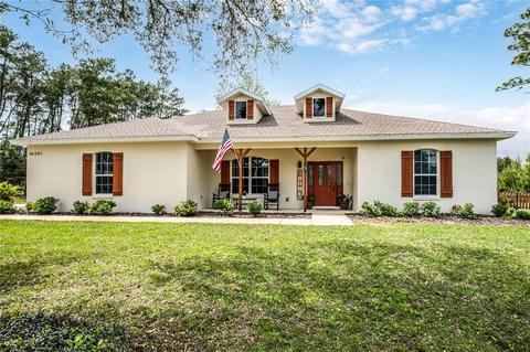 30801 Apricot Ave, Eustis, FL 32736 photo 1