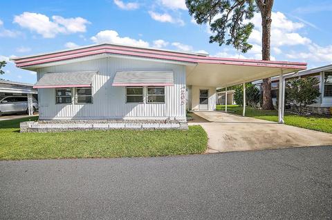 205 Palm Meadows Dr, Eustis, FL 32726 photo 1