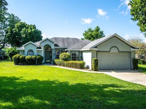 3040 Bulkley Pl, Eustis, FL 32726 photo 1