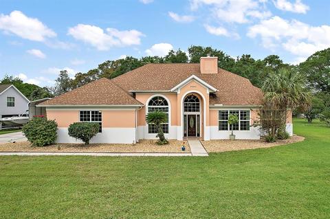 34641 Cattail Dr, Eustis, FL 32736 photo 1