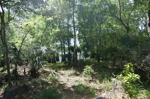 SW 64th Avenue, Bushnell, FL 33513