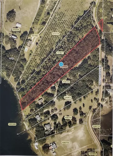 S Obrien Road, Groveland, FL 34736