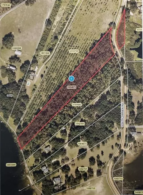 S Obrien Road, Groveland, FL 34736