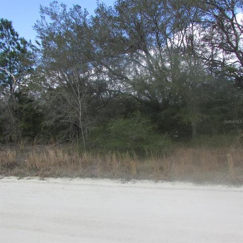 102 Nd Pl, Dunnellon, FL 34432