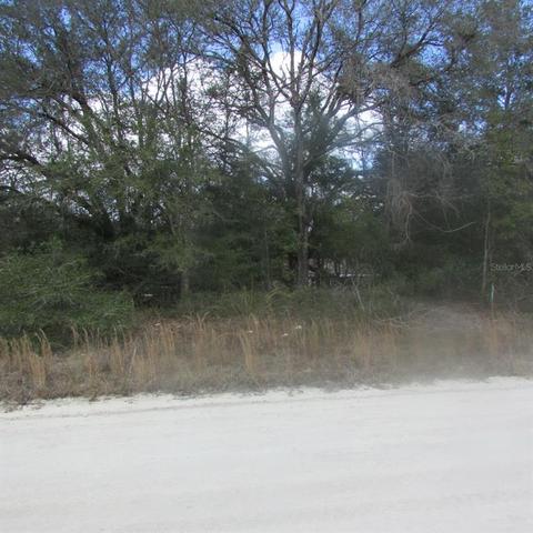 102 Nd St, Dunnellon, FL 34432