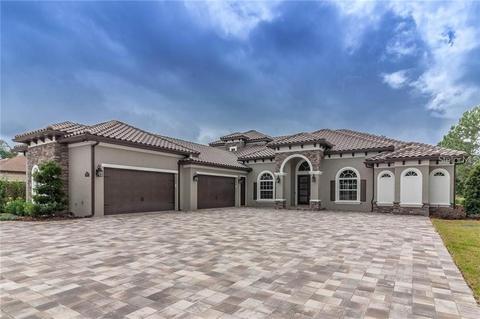 2004 Castelli Blvd, Mount Dora, FL 32757 photo 1