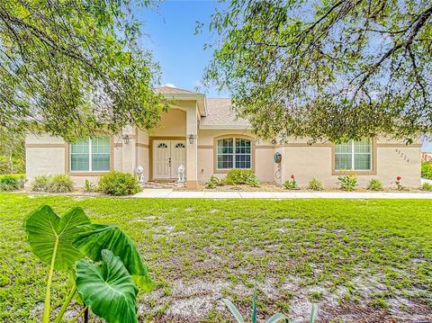 41224 Persimmon St, Eustis, FL 32736 photo 1