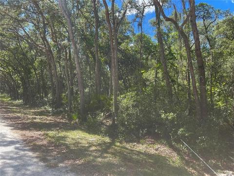 35123 Batesfield St, Webster, FL 33597 photo 1