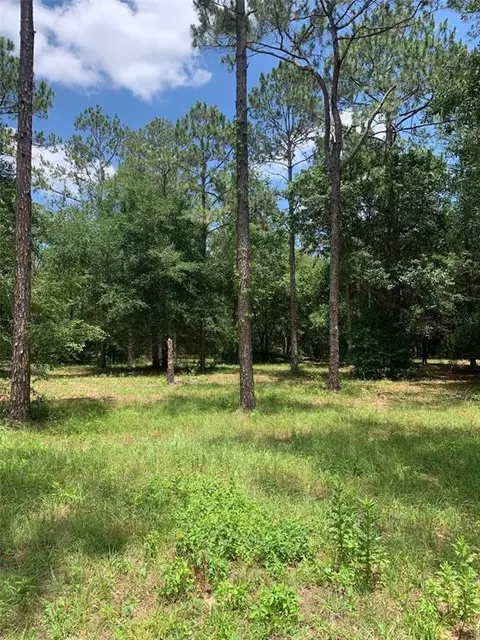 35735 High Pines Dr, Eustis, FL 32736 photo 1