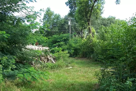 Grant Avenue, Eustis, FL 32726 photo 5