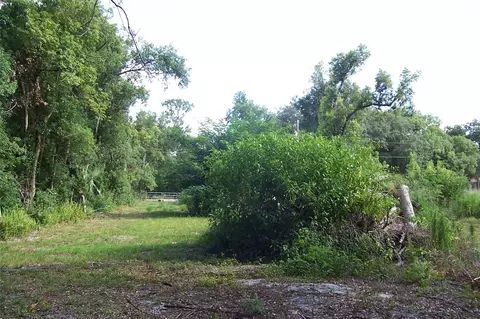 Grant Avenue, Eustis, FL 32726 photo 4
