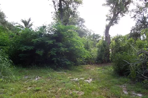 Grant Avenue, Eustis, FL 32726 photo 6