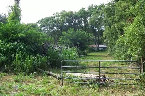Grant Avenue, Eustis, FL 32726 photo 7