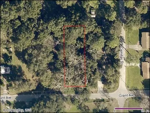 Grant Avenue, Eustis, FL 32726
