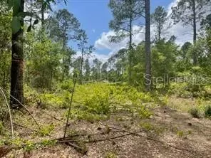 S Obrien Road, Groveland, FL 34736